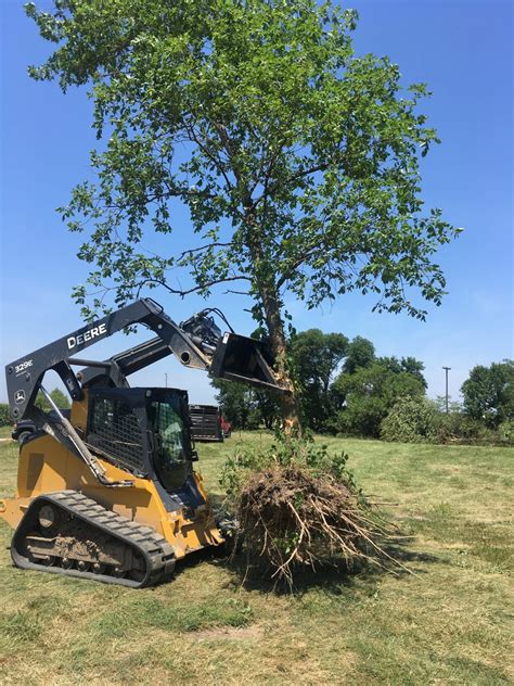 tree clearing with skid steer tree puller|tractor mounted tree puller.